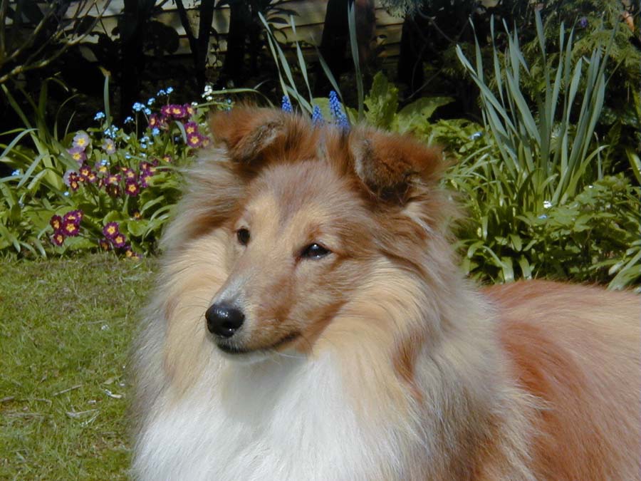 Milo8mths